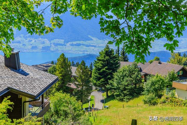 欧游杂记（5）‖ 齿轮火车几上几下瑞吉山，缆车凌空飞跃韦吉斯