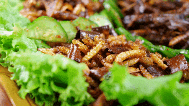 旅居云南｜德宏，是你安放身心、享受生活的最佳过冬地！