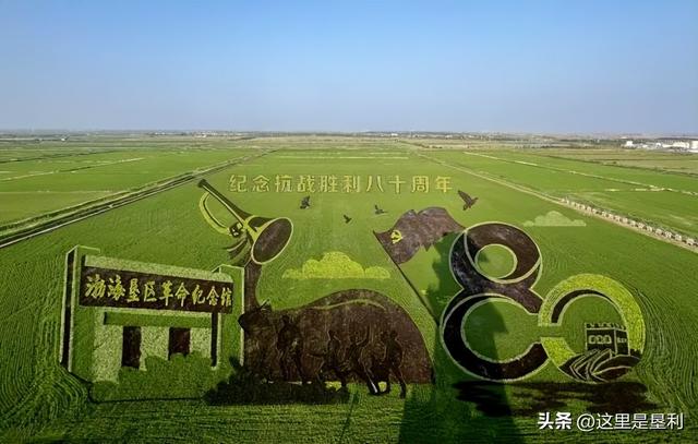 跑东马 来垦利，吃住游看这篇就GO了→