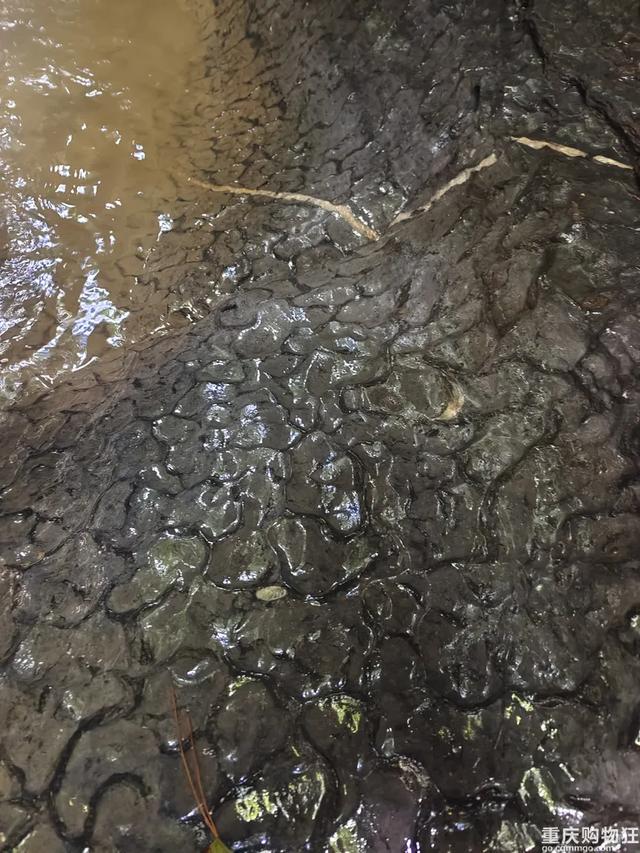 气温20℃+！重庆小众避暑点，吹凉风，捉小鱼，一日游也能耍安逸