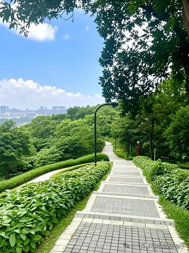 深圳龙岗的绿野仙踪，地铁直达