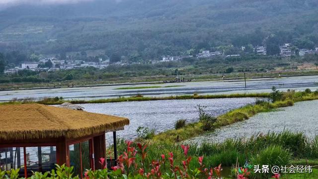 每日一景|云南腾冲北海湿地风景区