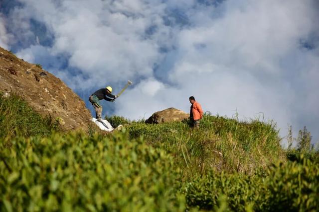 比格林童话更美！墨脱这个村坐拥雪山茶园秘境