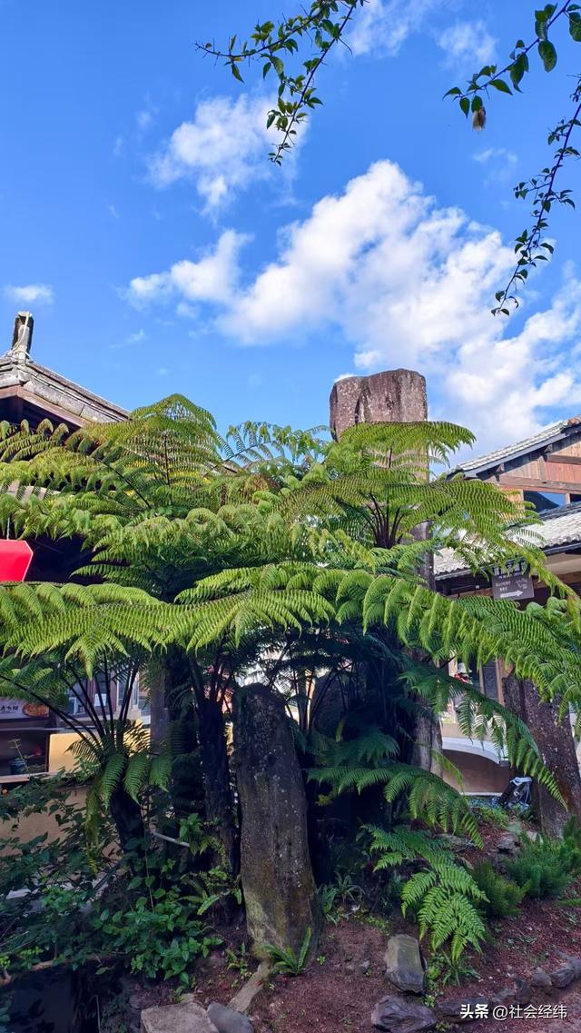 腾冲玉泉园：古景藏幽境，小桥流水似桃源