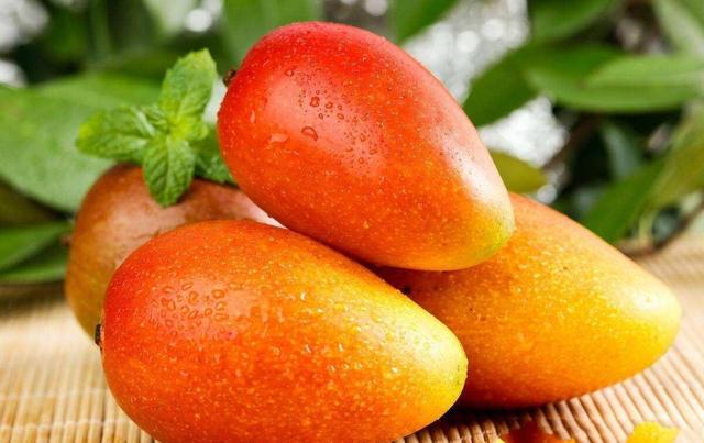 四川最适合过暖冬的六个地方，其中三个少有人知，看哪个更适合你