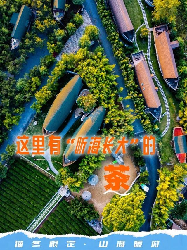 冬游山海天，全攻略来了！