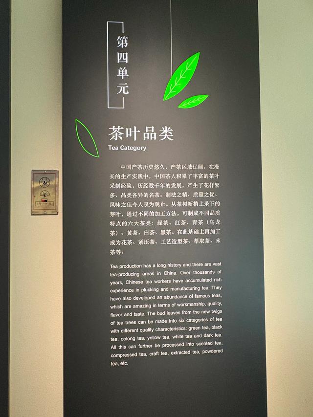 杭州小众游玩路线，茶叶博物馆和浙江美术馆半日游，建议收藏