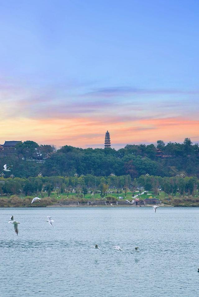 去了趟四川南充，真心实话说：南充真的比网上说的有意思多了呀