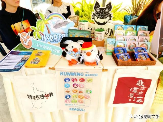 跟着滇超游昆明 | “鸥”然心动!打卡日记已备好,观鸥季精彩继续~