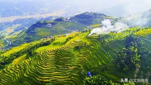 好想把自己扔进湖南这片秋景里