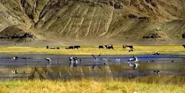 拉萨的冬天是16度的日光倾城，温暖到不想走。