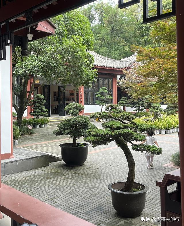 成都主城区老牌公园，最适合乘凉避暑，超级舒服，地铁公交直达！