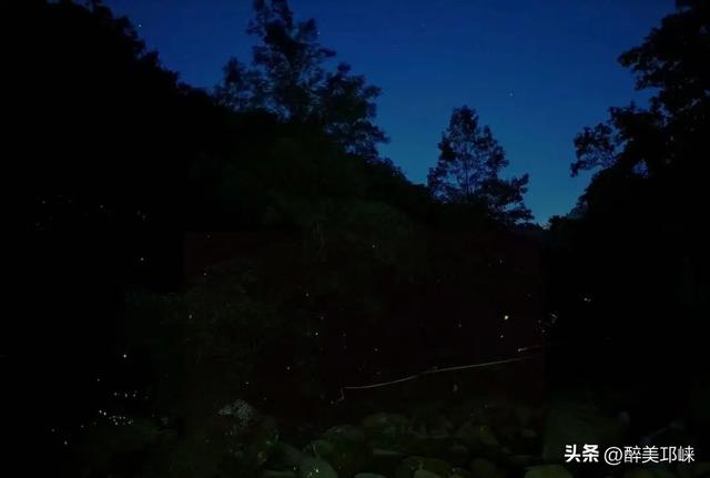 夏末初秋的天台山，看流萤把夏末的尾巴染成碎金