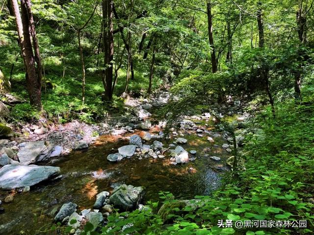西安周边避暑天花板！凉快10℃的宝藏地！