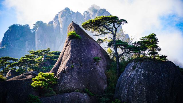 黄山记奇：从松谷庵到玉屏楼