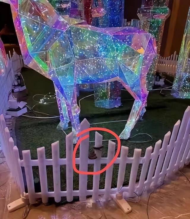 游客在四川九寨沟一酒店大堂发现剧毒蛇，小孩以为是假蛇还摸了蛇头