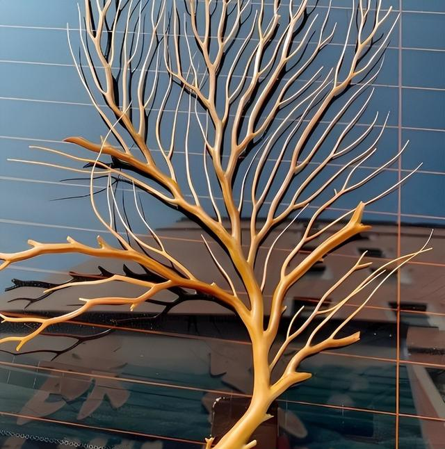 看后颠覆你的认知！有机宝石这么多！看完帮您涨知识！