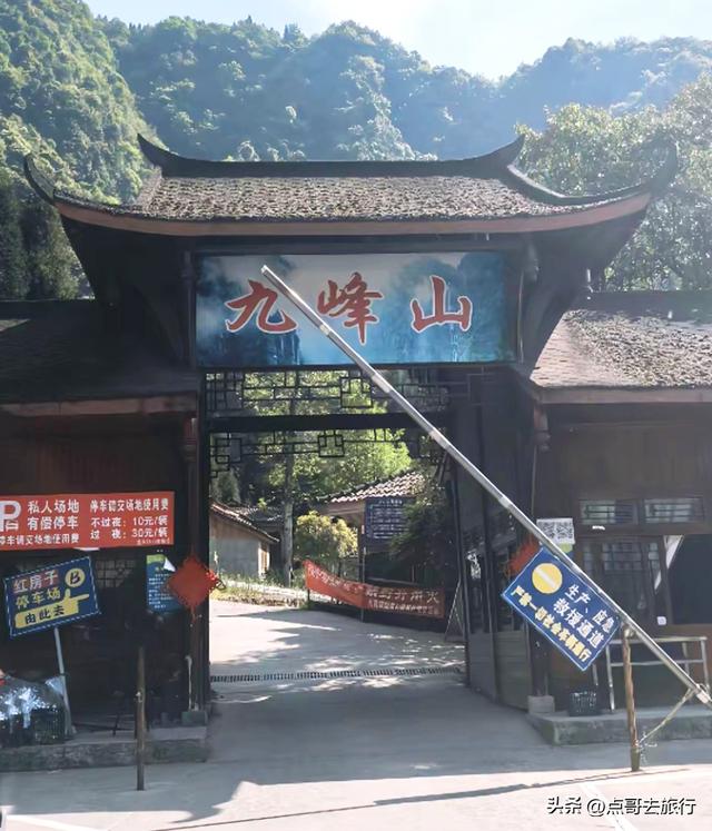 成都彭州的魔幻彩林，都不要门票！壮观、唯美、浪漫，无不惊艳！