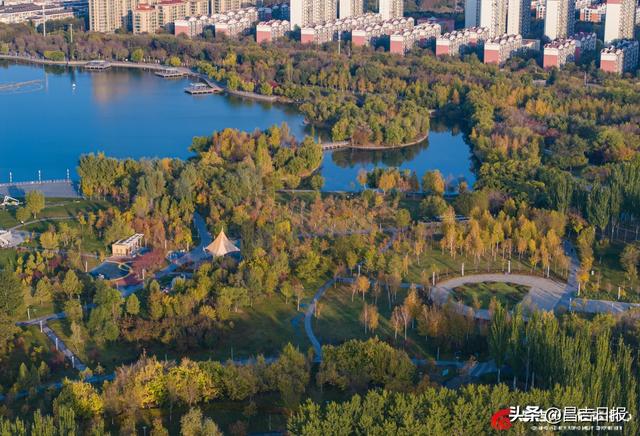 昌吉滨湖河中央公园：邂逅一场秋色绮梦