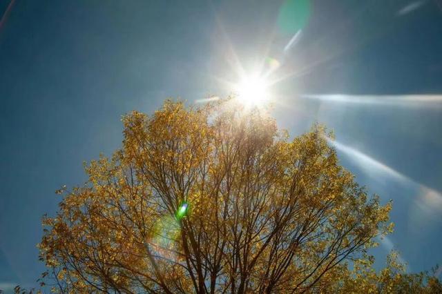 秋日西藏限定美景上线！摄影师私藏机位，拍出无敌风光大片