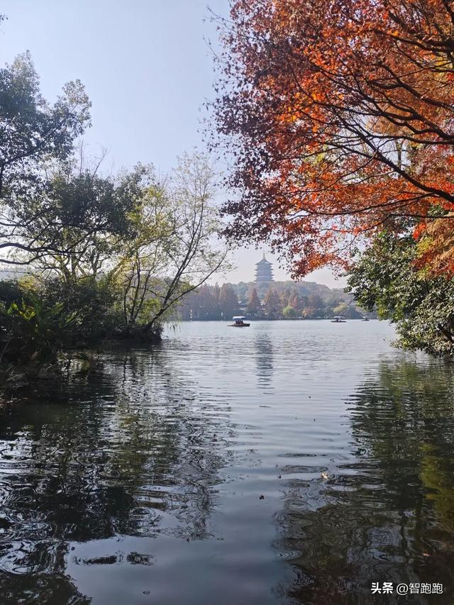 2025 杭州西湖 City Walk 留下足迹