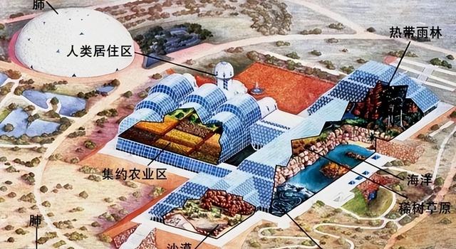 33年前，美国曾做过一个实验，将4男4女关一起两年，结果怎样？