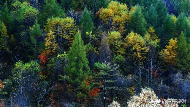 白石砬子：辽东半岛的“绿色方舟”，藏着你未曾见过的原始秘境