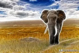 艺术设计学专业学什么？就业前景，就业方向，就业职位解析图片