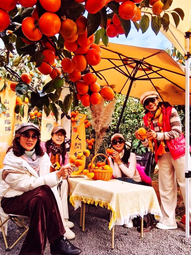 桂林：不入柿园，怎知秋色几许！