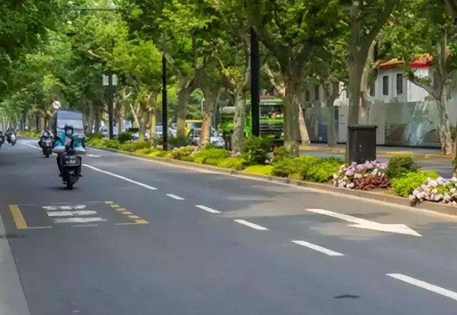 印度美女来中国旅游，第一天就破防：他们卫生条件怎么会这么好？