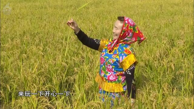 快码住!这里藏着秋日童话世界,出片率100%