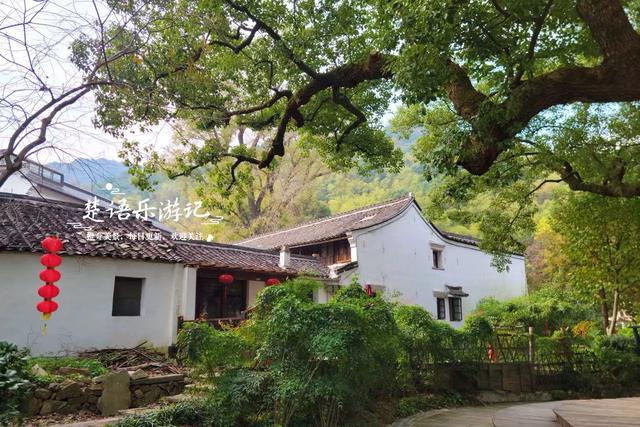 宁波慈溪的千年古村，古樟公园已经足够优美，昆虫乐园更加好玩