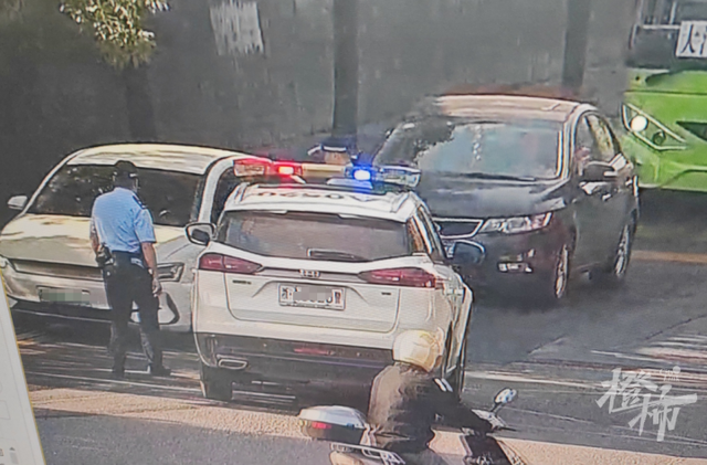 800元能买一斤多，白虫草不是冬虫夏草，有人沿街兜售被查