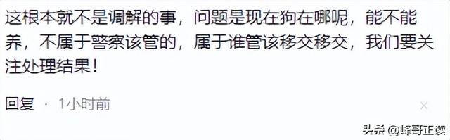 丹阳杜宾犬最新后续：网友不满处理依旧炸锅，养狗人终于登门道歉