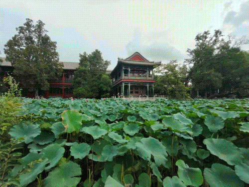 河北150家景区可以免门票！只需……