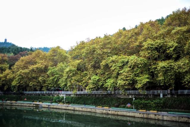 这个“名牌加身”的西南山城，正适合淡季来玩！