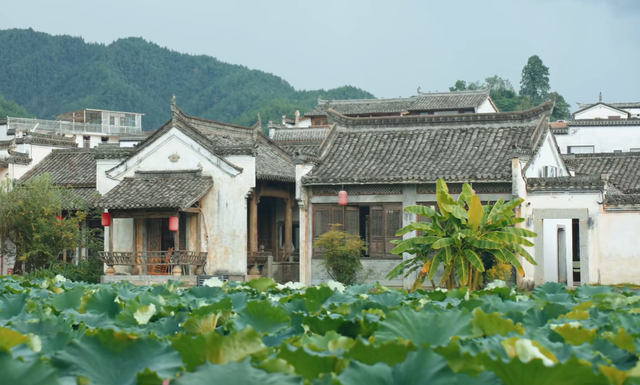 元旦去哪玩？来安徽这个千年古镇，体验中式年味直接拉满