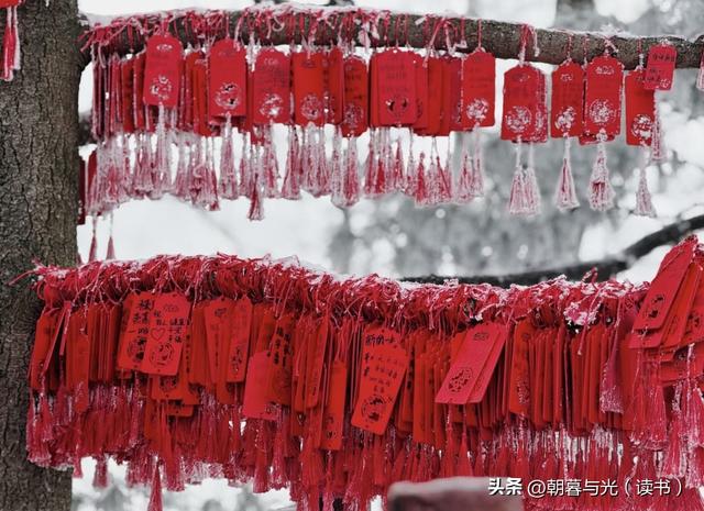 老君山今冬首场雪如期而至，幻化人间仙境