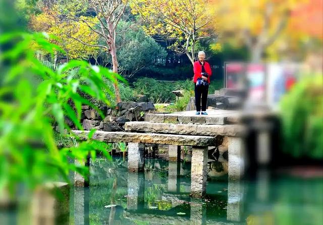 龙光塔下丨断桥与红枫的秋恋