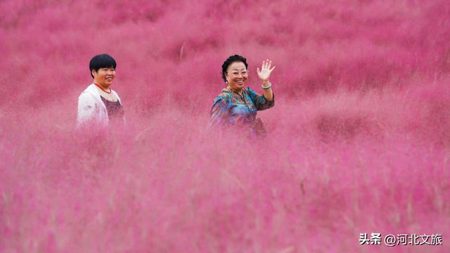 邯郸太行山红叶、紫山粉黛、广府古城……等你打卡
