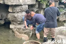 凌晨集体"越狱"! 3号蹲守到30号…仍未全部抓回! 网友:拒绝营业图片