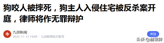狗主人被反杀案开庭，9人闯门打砸，妻子后悔冲动，更多细节披露