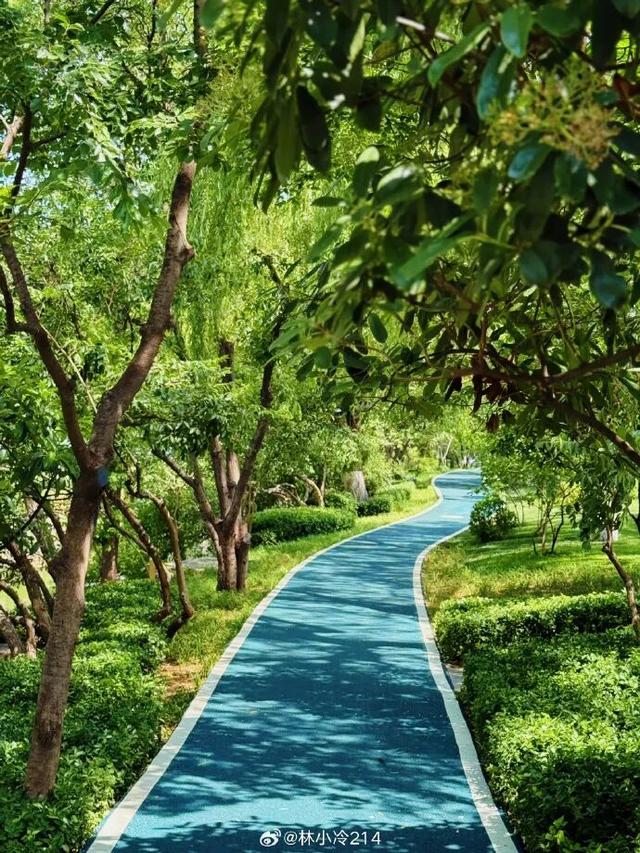 2025四季巡礼！100位寻美客邀你共绘最美泉城图鉴