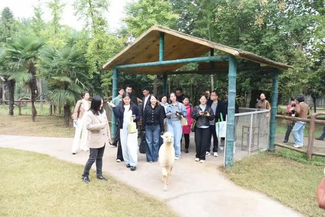 50+企业集结，金水文旅要“搞事情”！