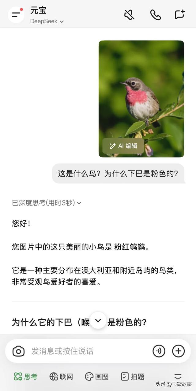 当Zoo Walk成为都市爆款 ，当代年轻人从“萌物”中寻求疗愈