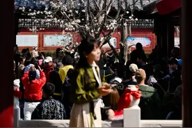 沈阳第一波花已经开了！就在这些地方……图片