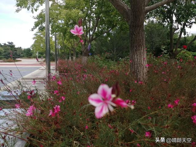 热评：也说假期旅游