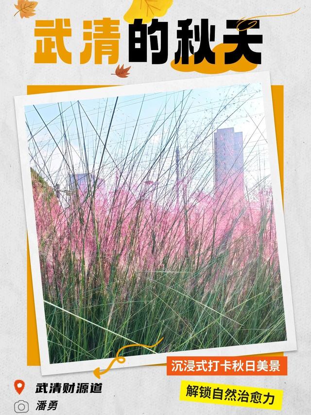 嗨，你的秋天留住了吗？