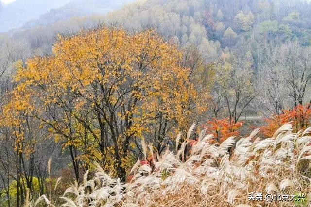 全运会如火如荼！去北京这里感受冬奥激情 | 周末京郊微度假