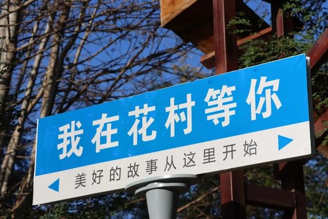 【网络中国节】“十一”假期 白银区乡村游邀您共赴田园盛宴
